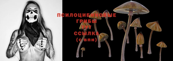 винт Абаза
