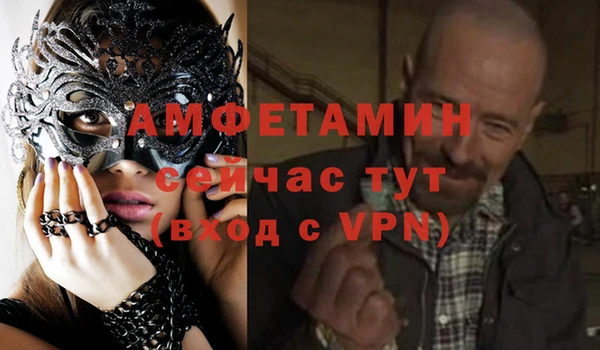 винт Абаза